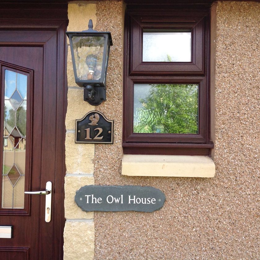 Welcome to The Owl House